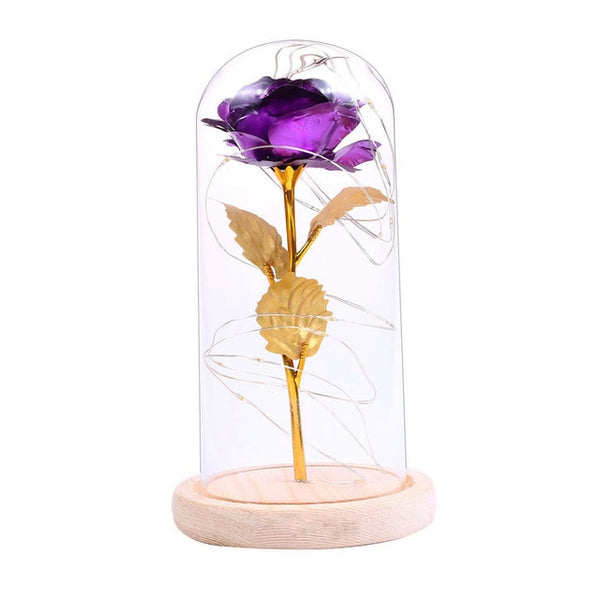 Rose Lamp Bottle Desk Night Light