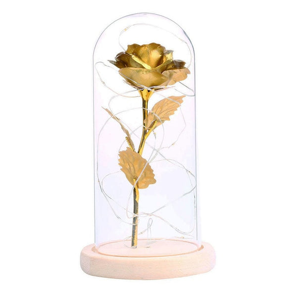 Rose Lamp Bottle Desk Night Light